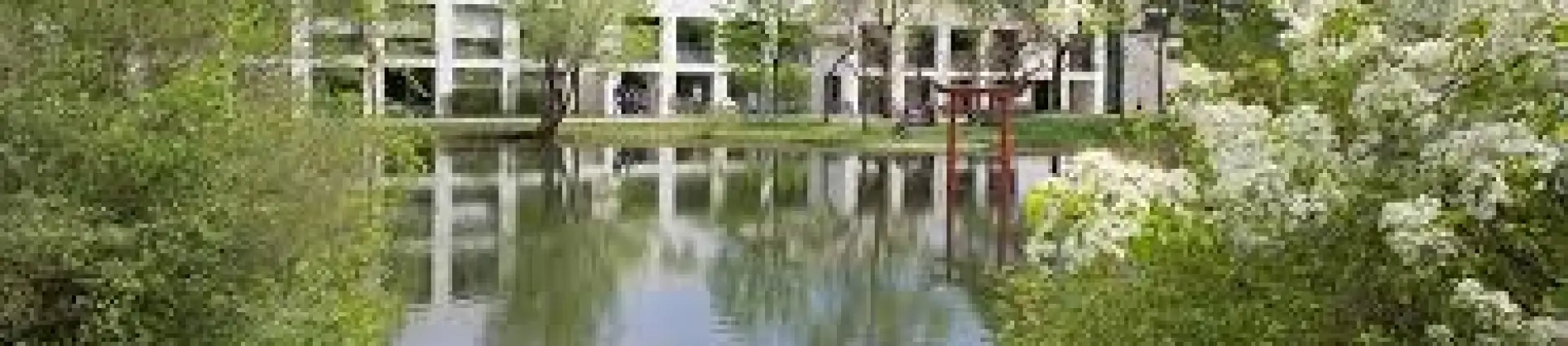 History of the Arts and Cultural History